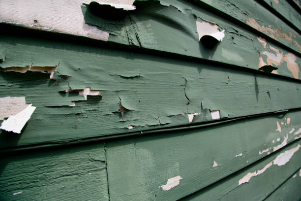 Best Dumpster Rental Services  in Albany, LA