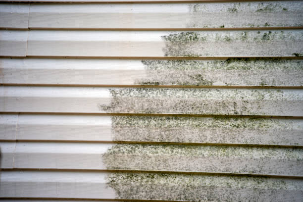 Best Hoarding Cleanup  in Albany, LA
