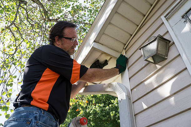 Best Construction Debris Removal  in Albany, LA